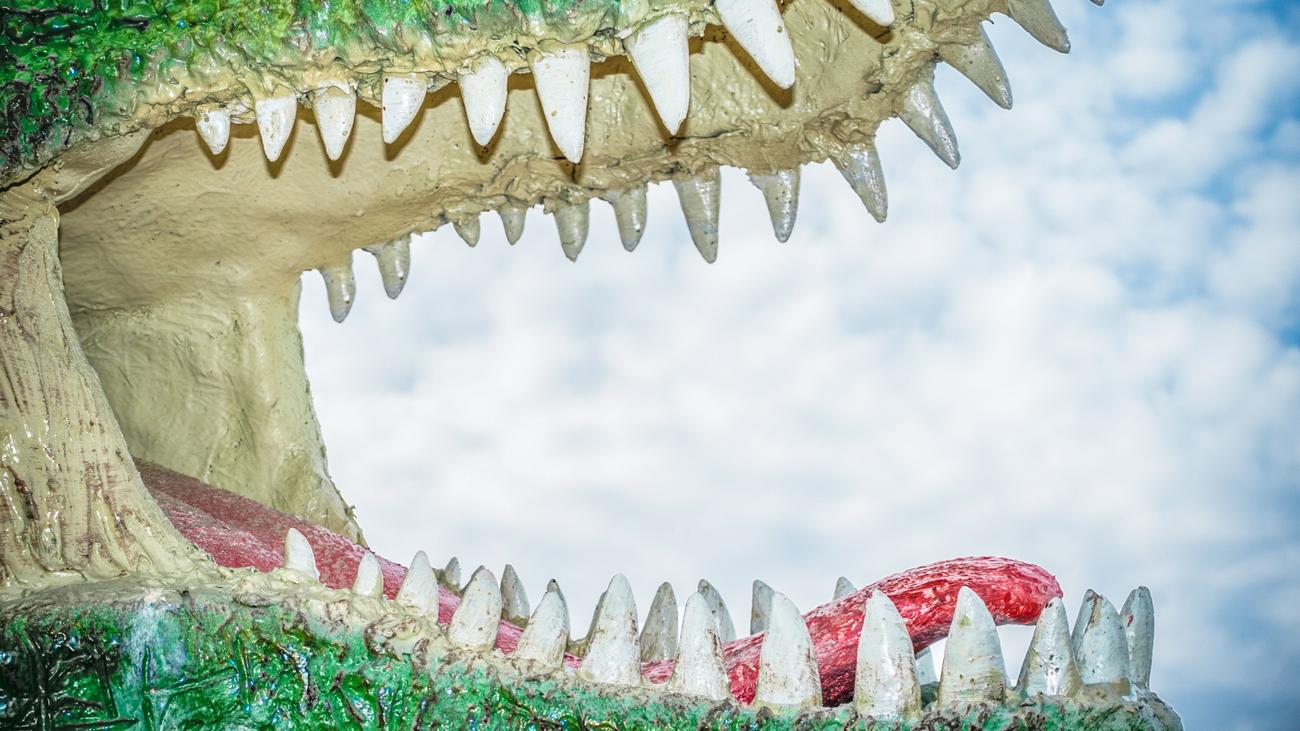 Freizeit von Kindern: Hört auf, eure Kinder zu überspielen! | DIE ZEIT